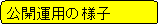 �p�ێl�p�`: ���J�^�p�̗l�q