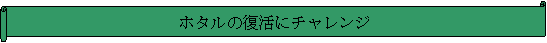 : z^̕Ƀ`W