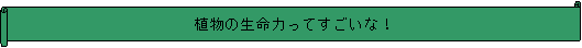 : A̐͂ĂȁI