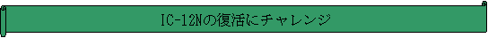 : IC-12N̕Ƀ`W