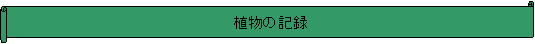 : A̋L^