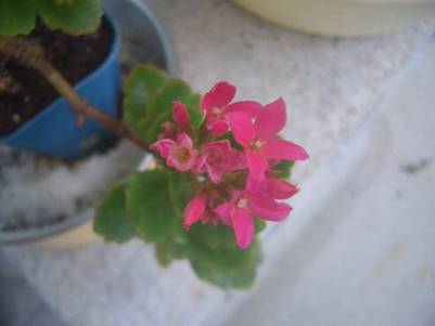 CIMG2673